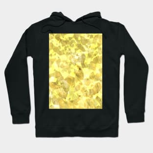 Golden Nugget Texture Hoodie